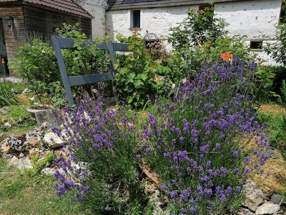 Hotellerie Jardiniers Gourmands Morsains エクステリア 写真
