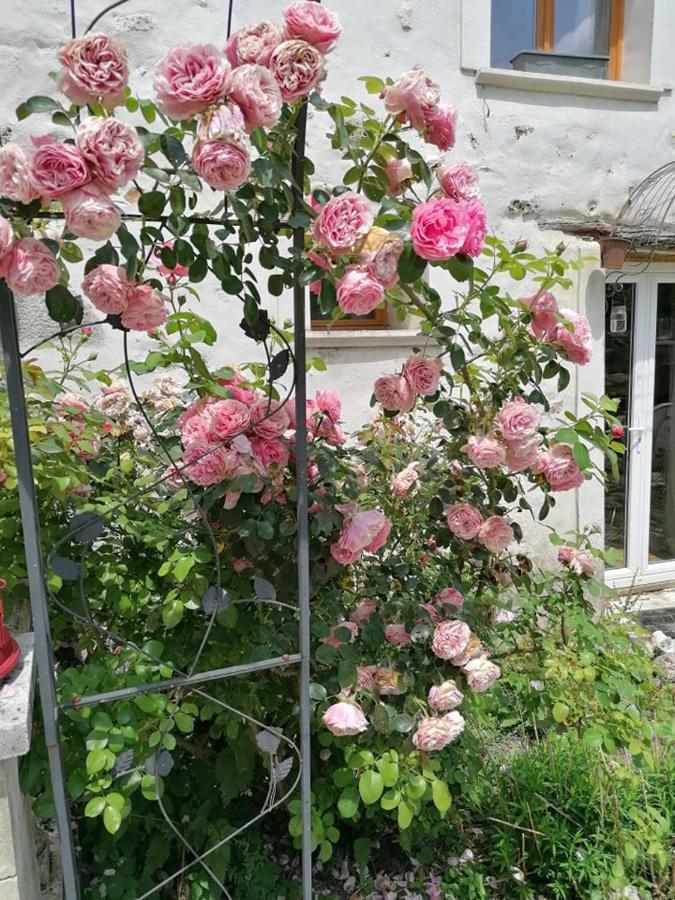 Hotellerie Jardiniers Gourmands Morsains エクステリア 写真